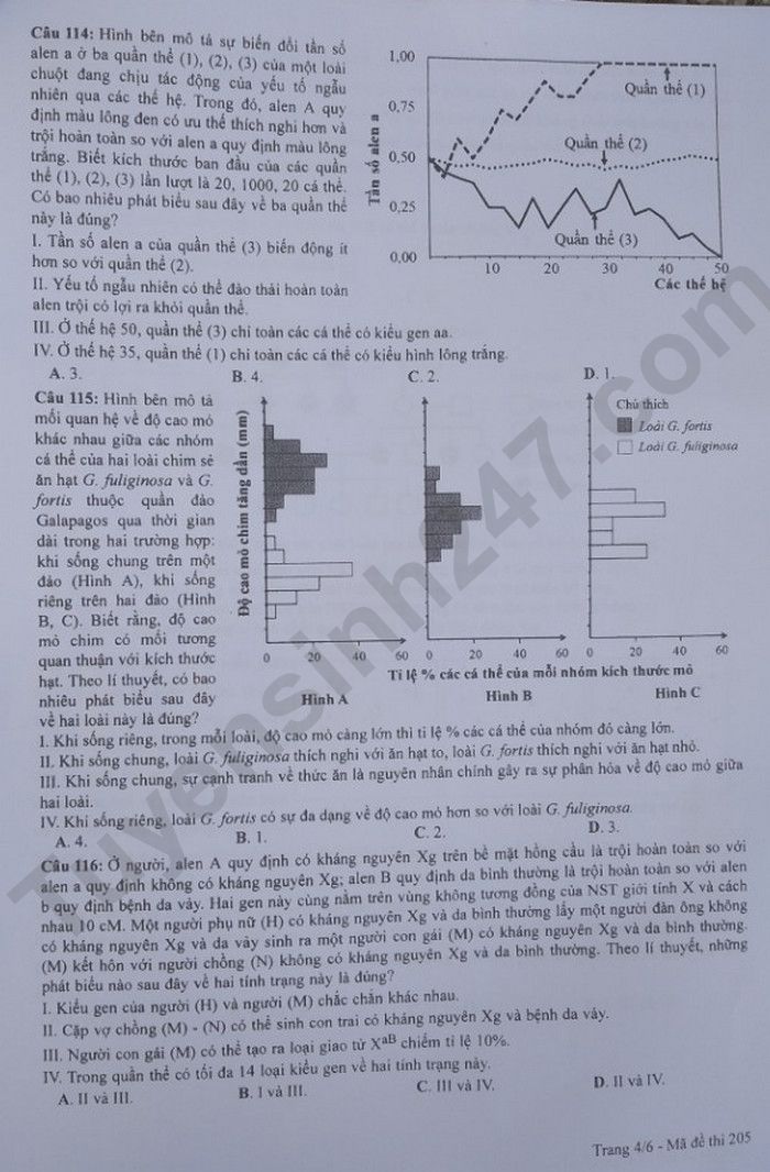 de thi tot nghiep thpt 2023 mon sinh hoc ma de 205 hinh 4