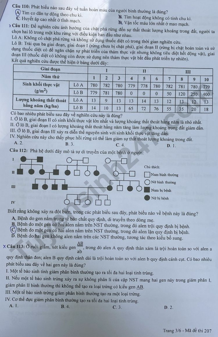 de thi tot nghiep thpt 2023 mon sinh hoc ma de 207 hinh 3