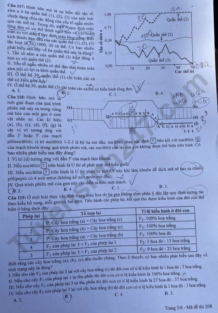 de thi tot nghiep thpt 2023 mon sinh hoc ma de 208 hinh 5