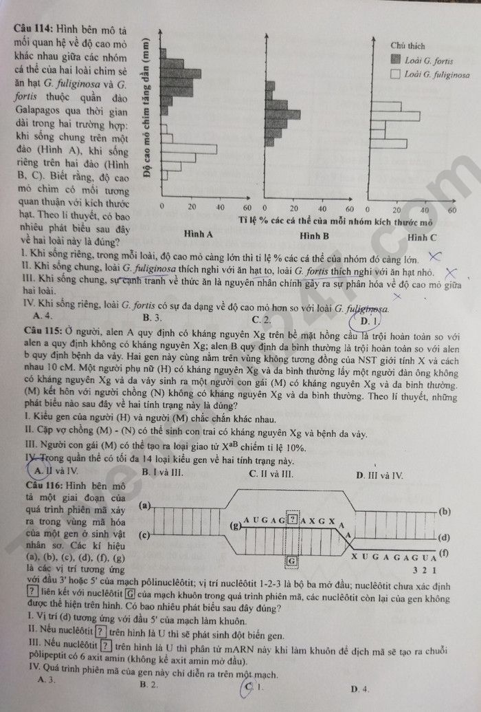 de thi tot nghiep thpt 2023 mon sinh hoc ma de 221 hinh 4