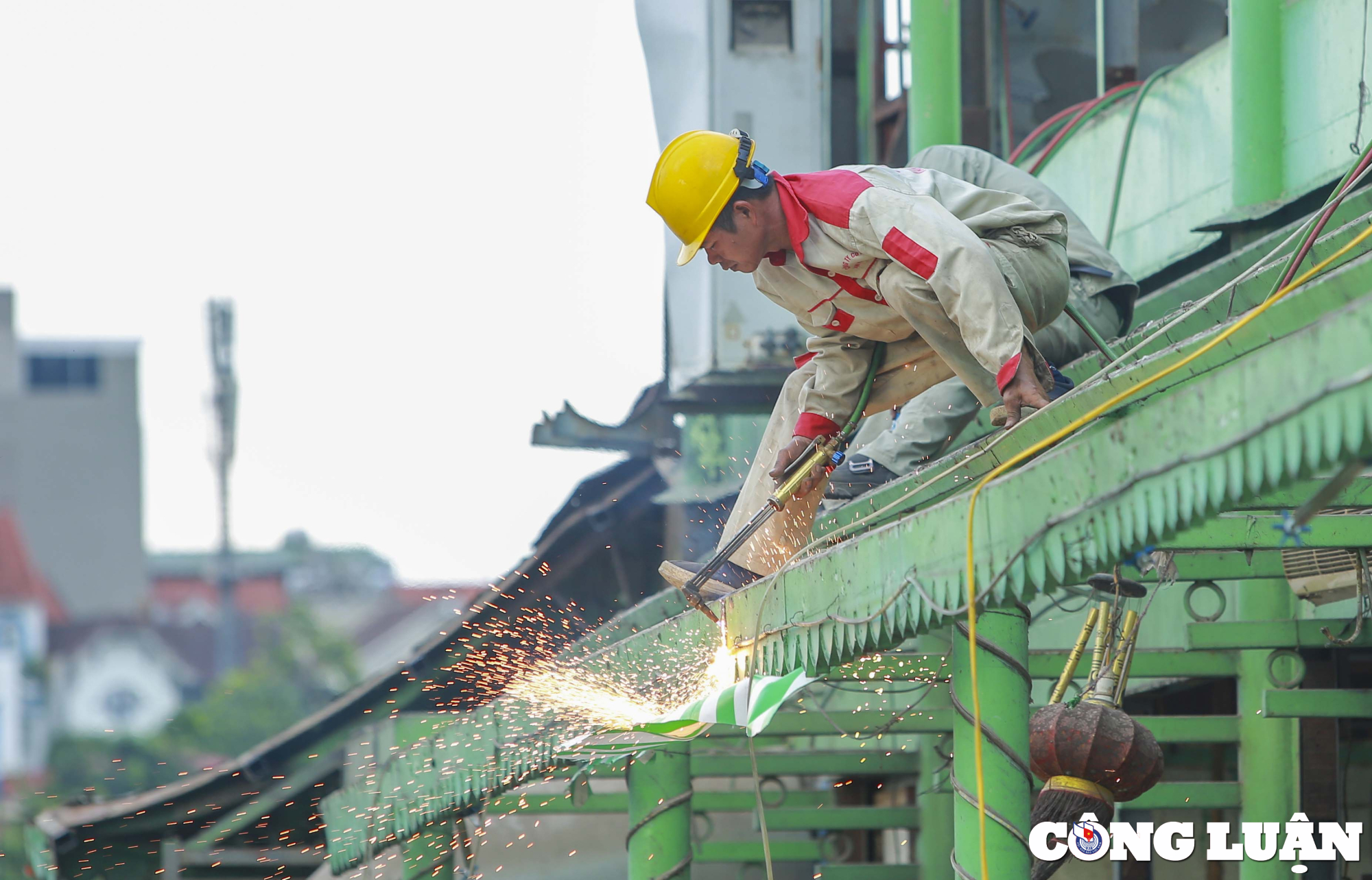 ha noi can canh thao do du thuyen cuoi cung tren ho tay hinh 4