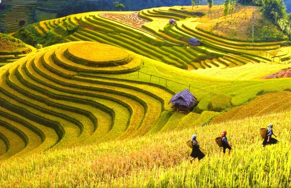 du lich viet nam duoc danh gia cao tren bao quoc te hinh 1