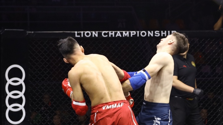 vo si viet nam di vao lich su vo tu do mma hinh 1