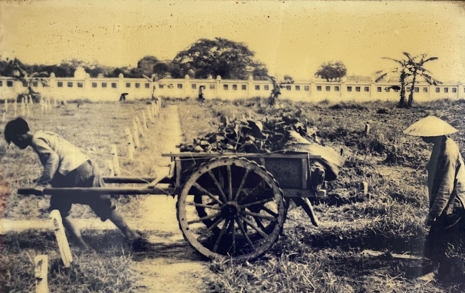 dau tich be xuong nguoi khong lo giua trung tam ha noi hinh 11