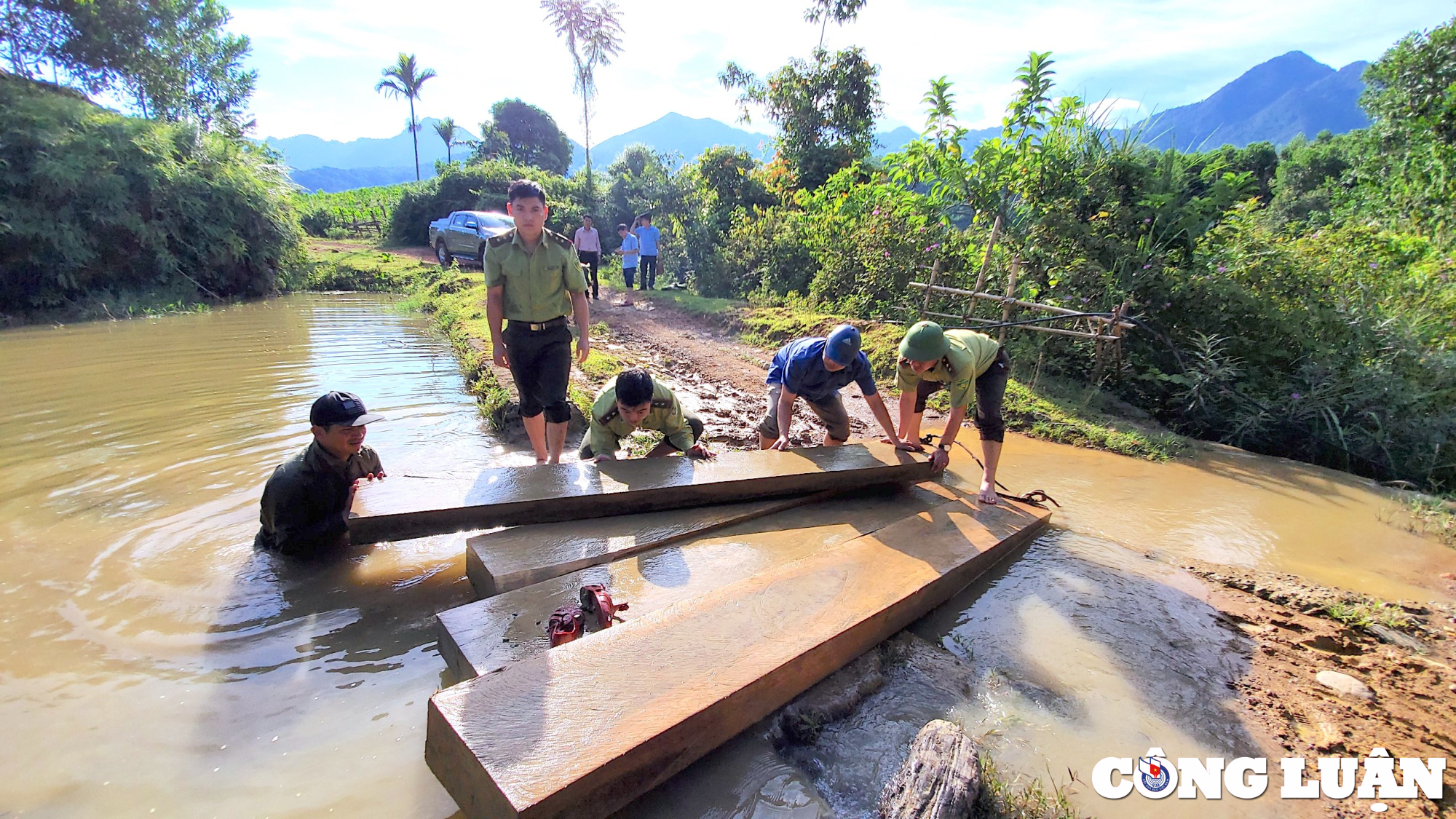 chi cuc kiem lam tinh thanh hoa chi dao kiem tra phan anh cua bao nha bao va cong luan hinh 1