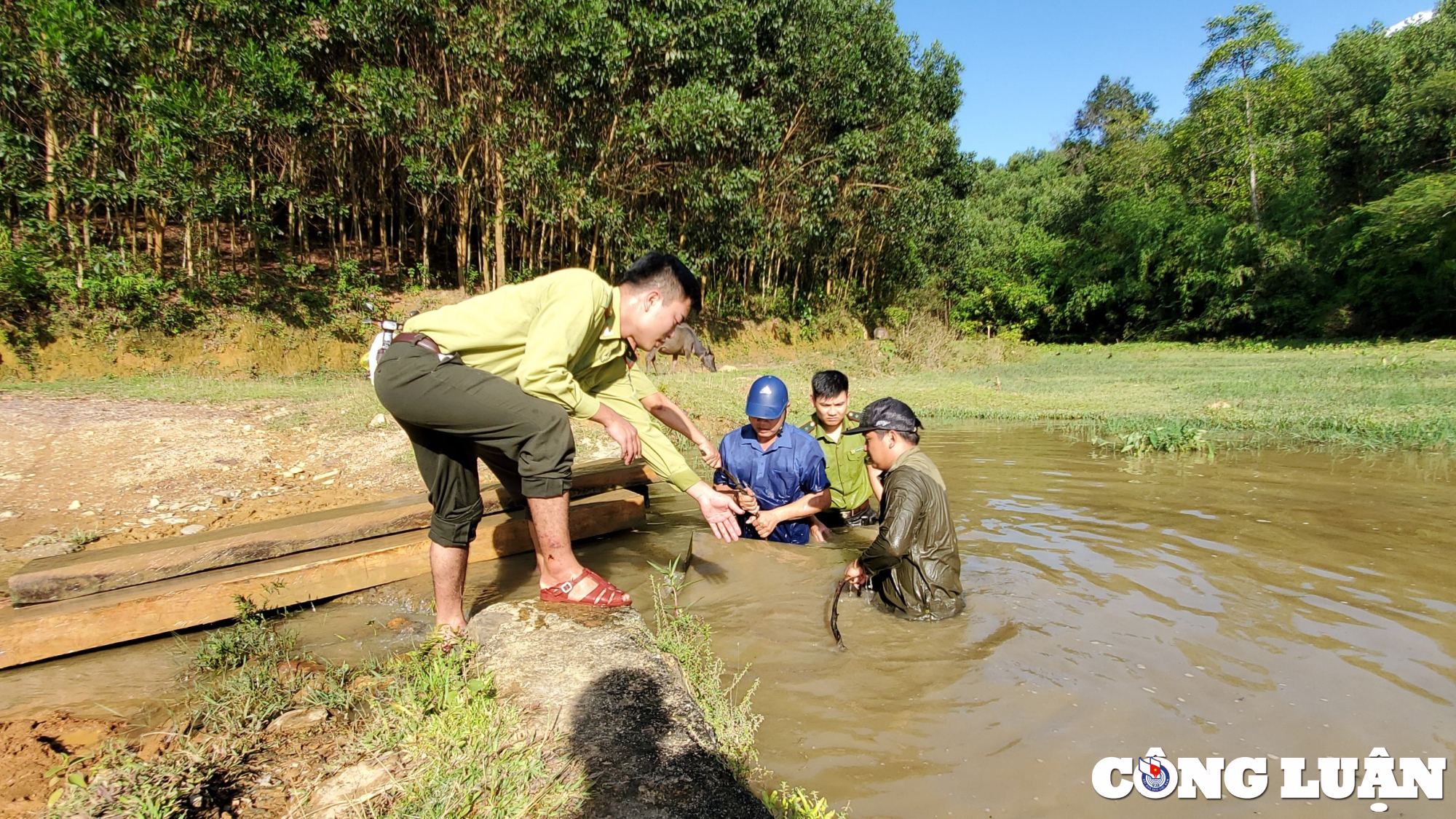 chi cuc kiem lam tinh thanh hoa chi dao kiem tra phan anh cua bao nha bao va cong luan hinh 3