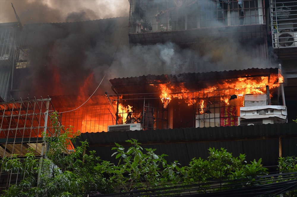 nha chuong cop o ha noi va nhung bai hoc xuong mau hinh 2