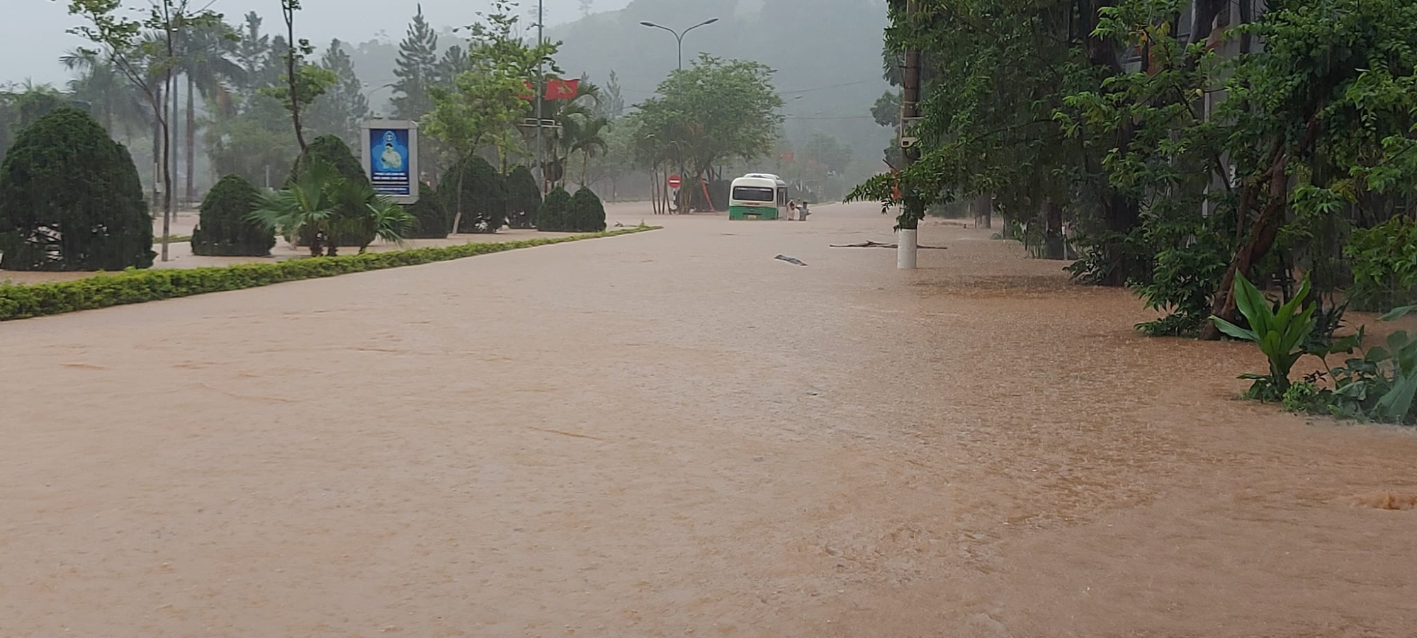 son la mua lon keo dai gay ngap ung cuon troi nhieu gia suc hinh 1