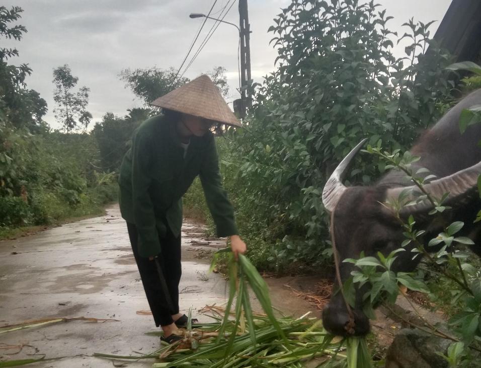 buoi di hoc buoi vao rung hai mang van tro thanh a khoa khoi c ca nuoc hinh 1