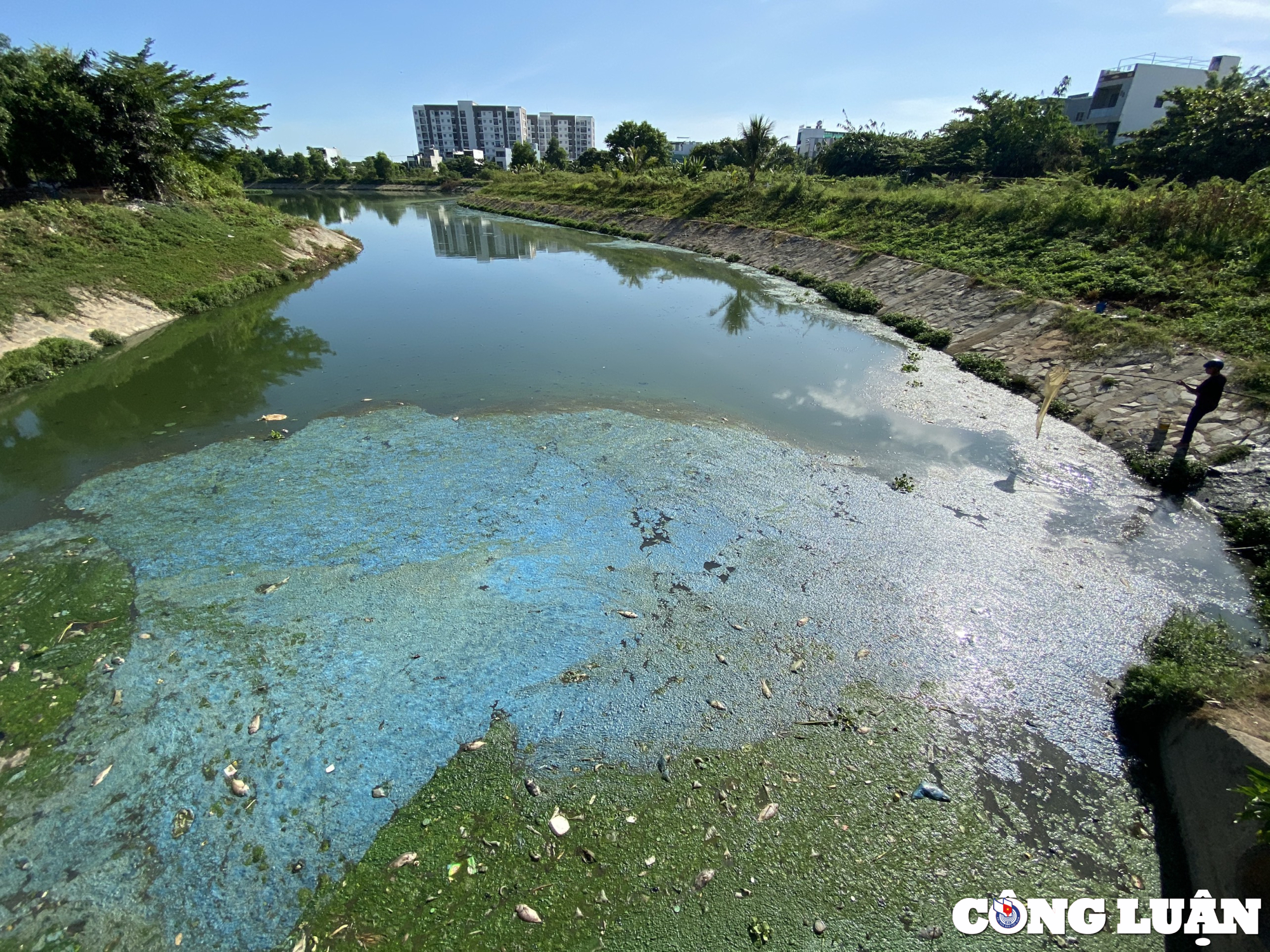 da nang hang tan ca chet sau con mua dau mua o cac kenh ho hinh 7