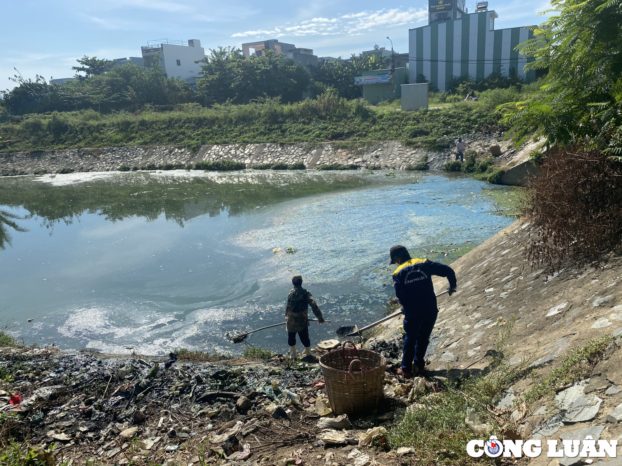 da nang hang tan ca chet sau con mua dau mua o cac kenh ho hinh 2