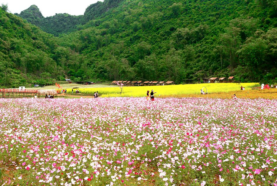 bac ha to chuc festival cao nguyen trang mua thu nam 2023 hinh 1