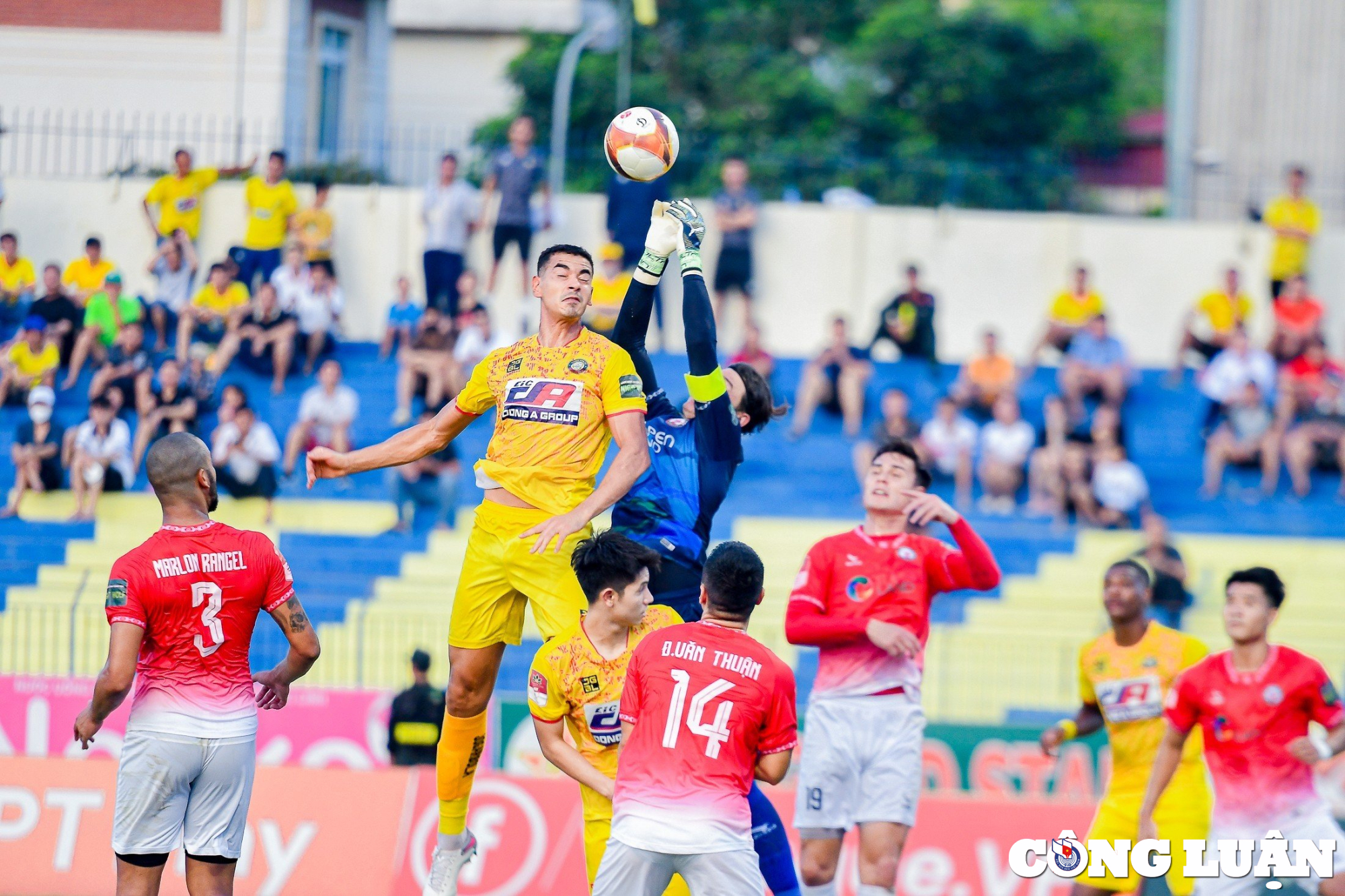 danh bai binh dinh clb dong a thanh hoa tam len dau bang vleague 2023 hinh 1