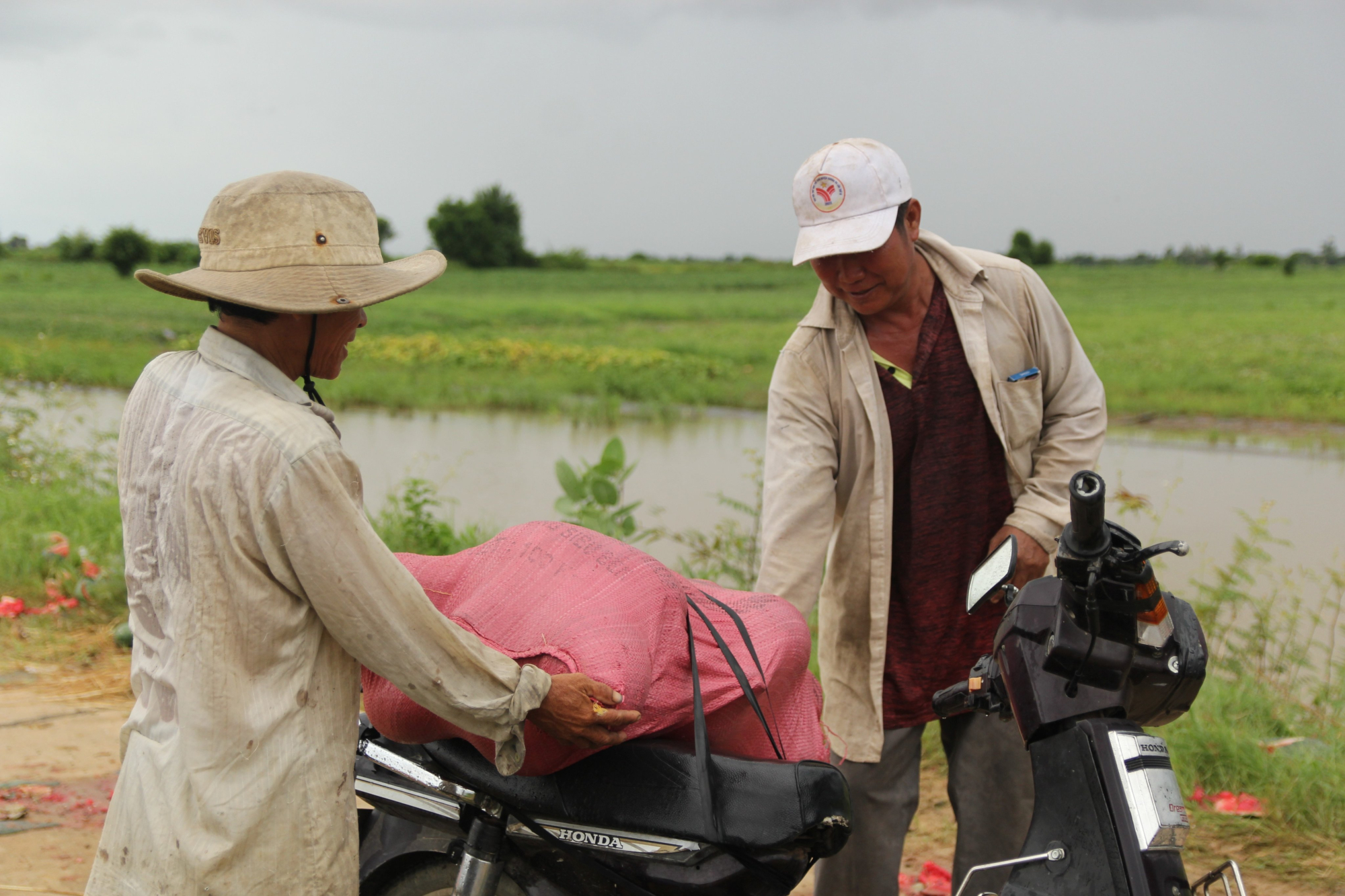 nong dan ngam ngui nhin canh dong dua bi ngap sau trong nuoc thiet hai hang ty dong hinh 6