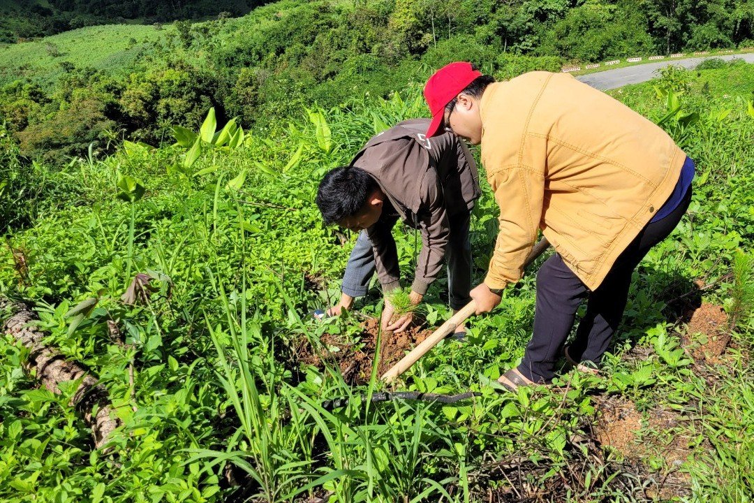 kon tum nan giai bai toan trong rung o huyen ngheo tu mo rong hinh 2