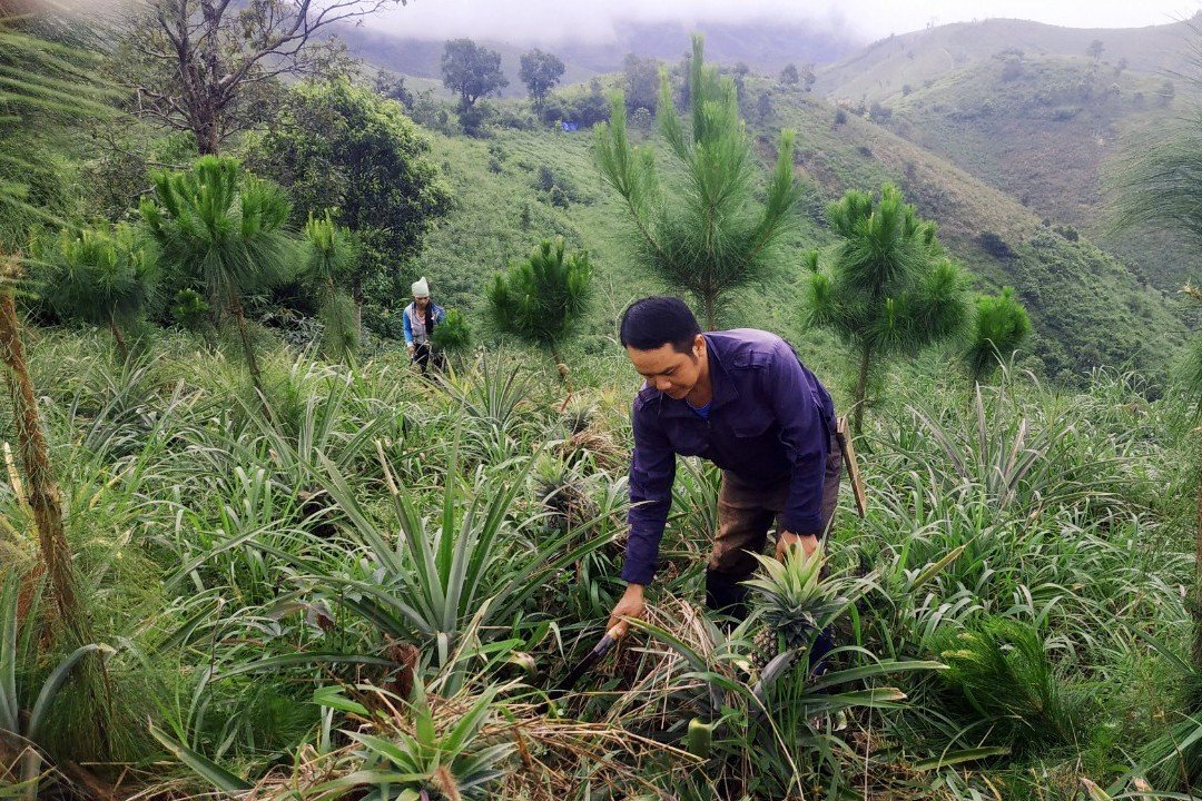 kon tum nan giai bai toan trong rung o huyen ngheo tu mo rong hinh 3