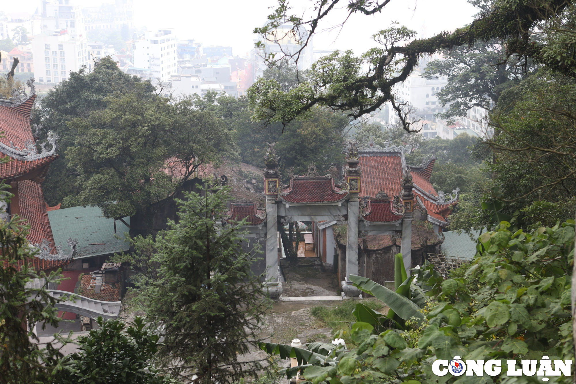 kham pha noi linh thieng giua vung troi tam dao vinh phuc hinh 3