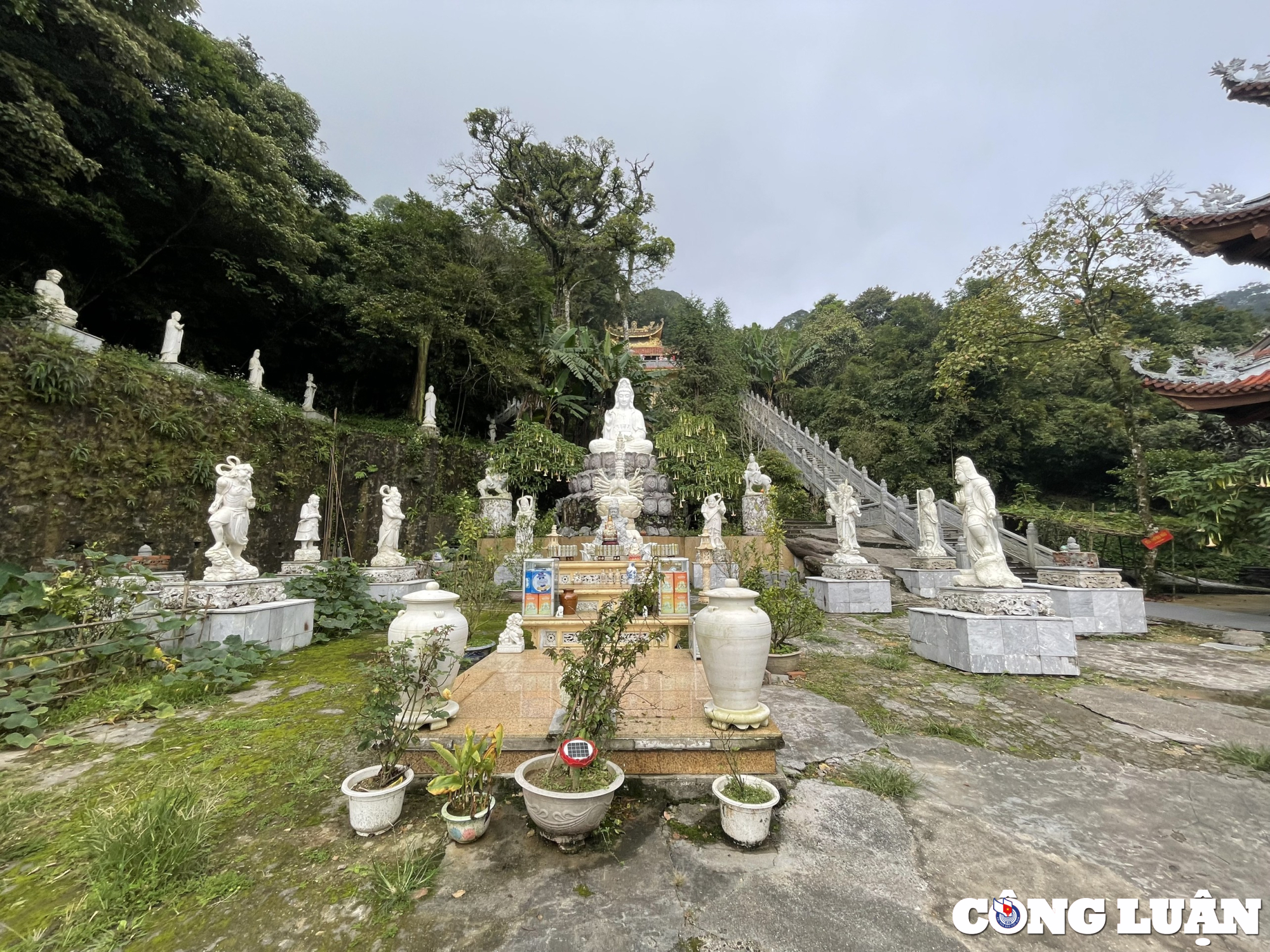 kham pha noi linh thieng giua vung troi tam dao vinh phuc hinh 9