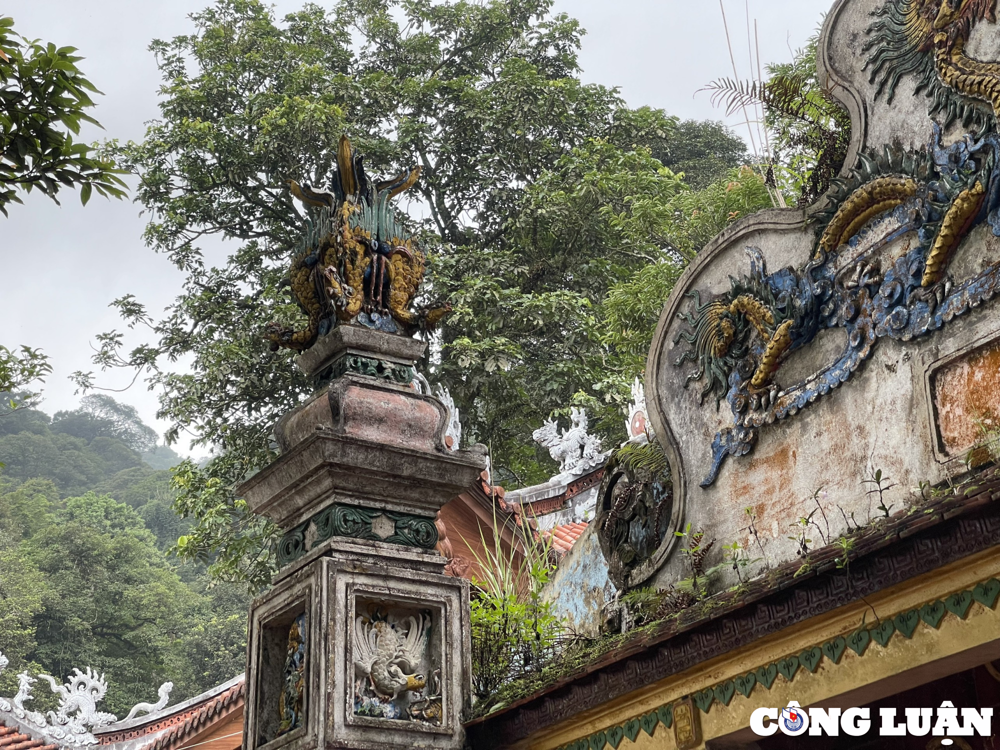 kham pha noi linh thieng giua vung troi tam dao vinh phuc hinh 6