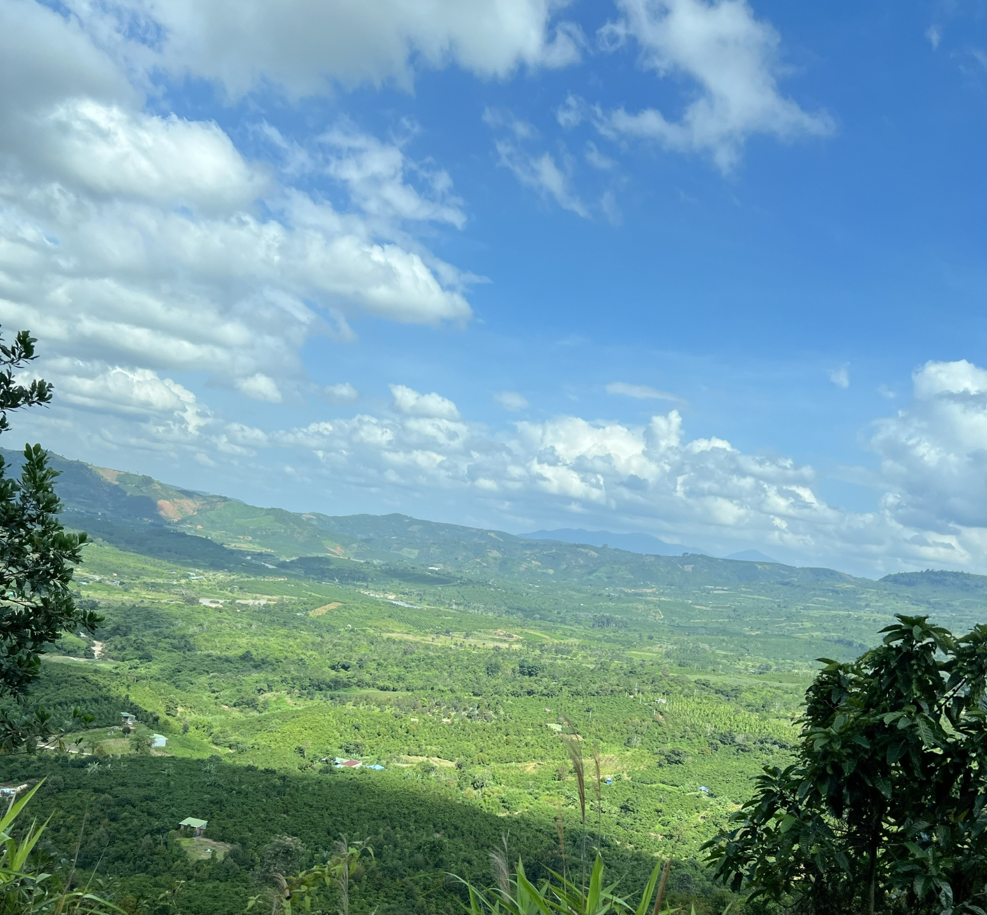 tay nguyen dam say long nguoi hinh 1