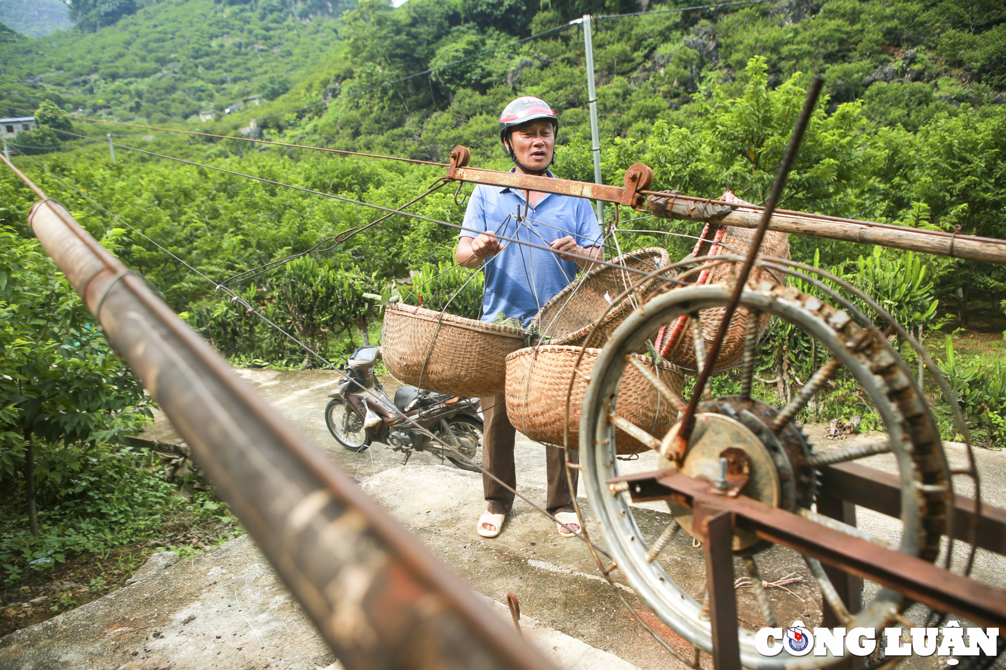 gia na chi lang cao hon nam ngoai nguoi dan van khong so e hinh 8