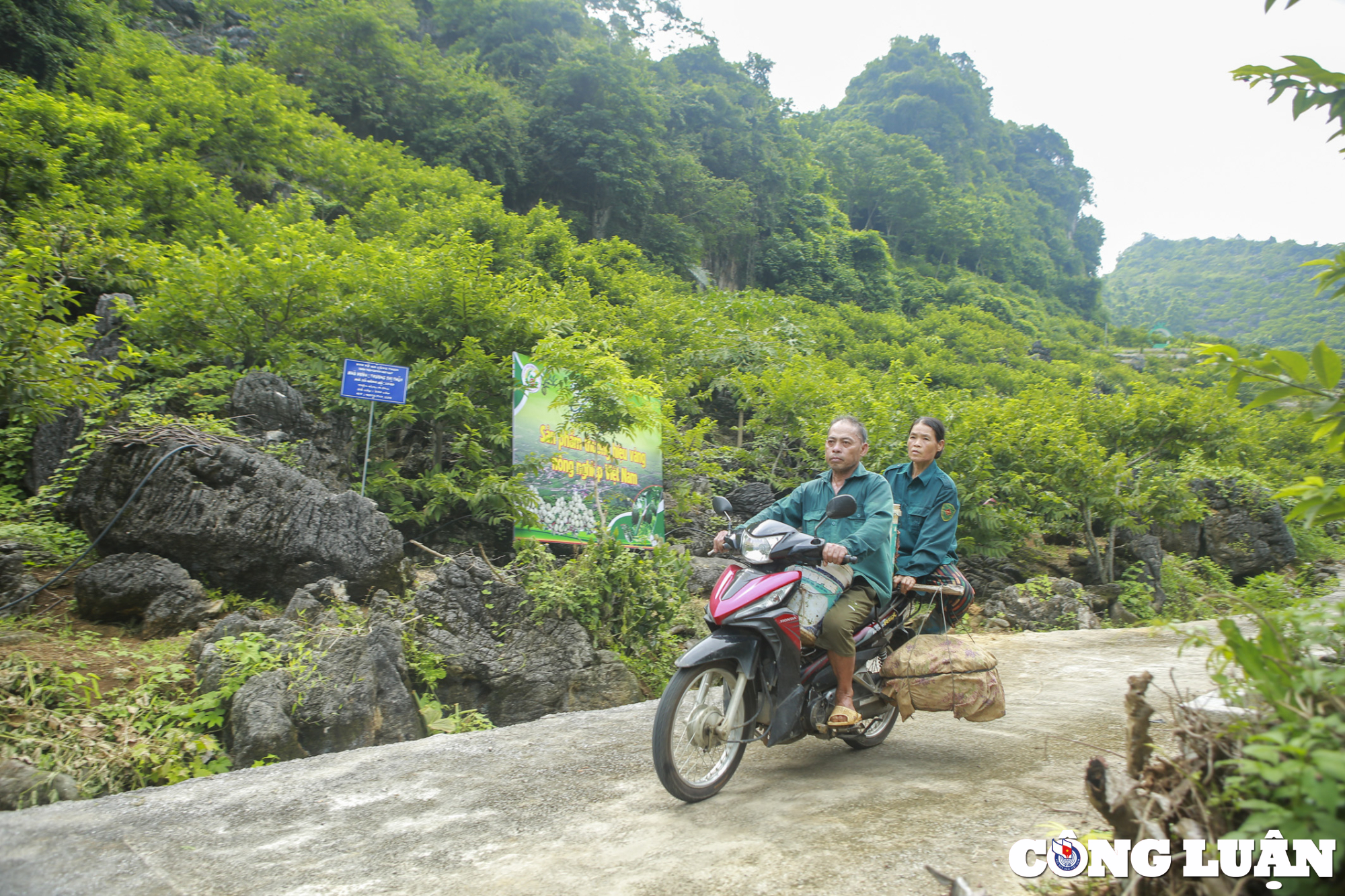 gia na chi lang cao hon nam ngoai nguoi dan van khong so e hinh 3