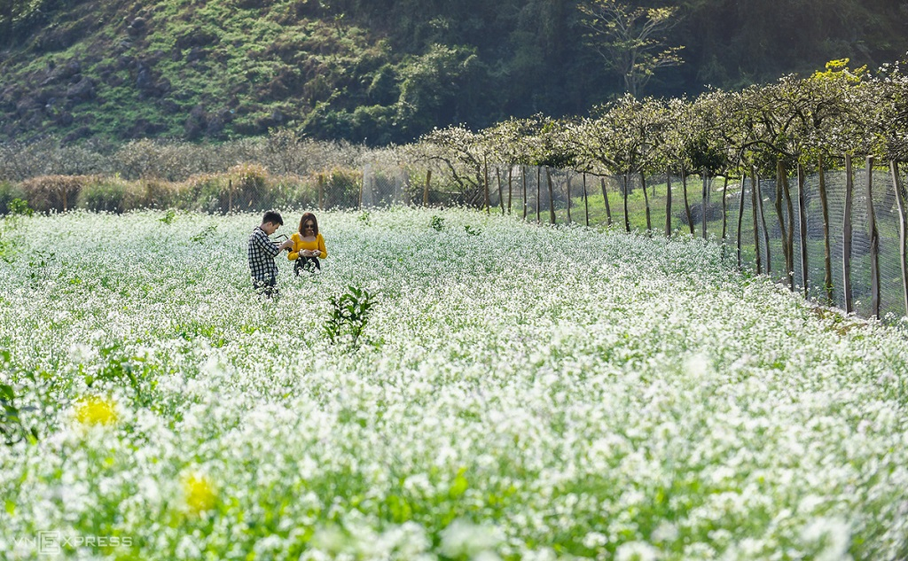 cac tour du lich ngan ngay phu hop cho dip nghi le 2 9 hinh 2