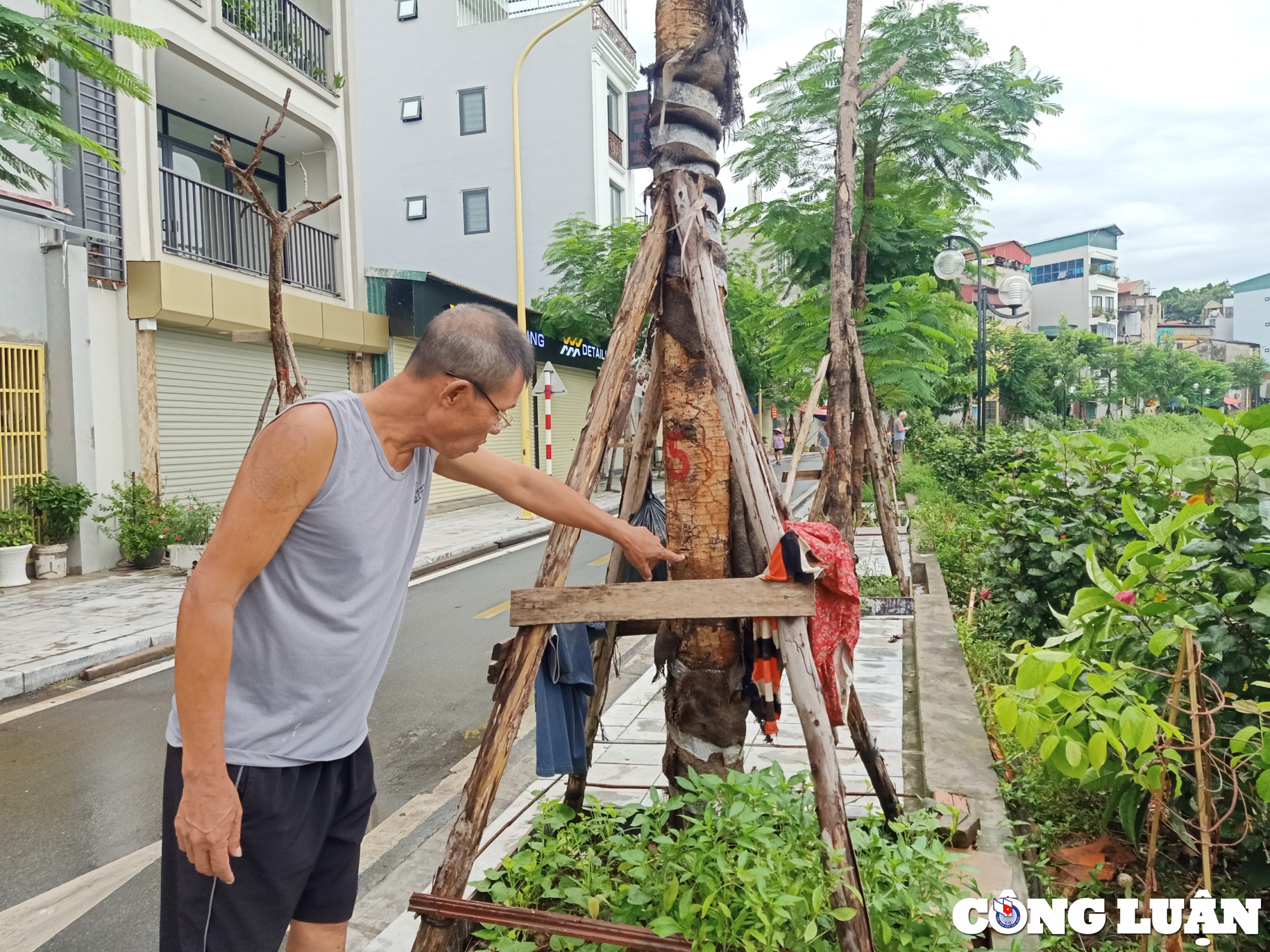 ho linh quang van chua thoat canhao tu nuoc dong ngap tran rac thai hinh 7