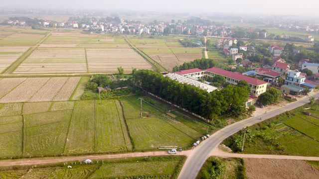 quy dinh dau gia dat nong nghiep cua ha noi dang trai luat hinh 1