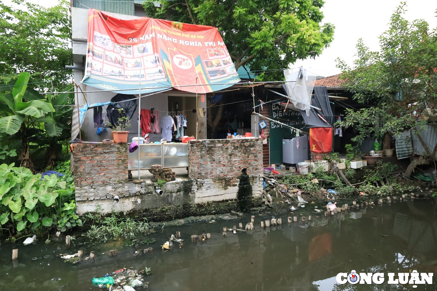 o nhiem bua vay diem nong sot xuat huyet o ha noi hinh 4