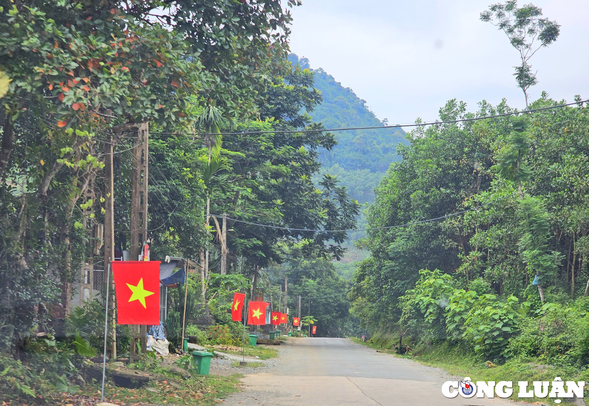 thanh hoa ruc ro co do sao vang chao mung tet doc lap hinh 3