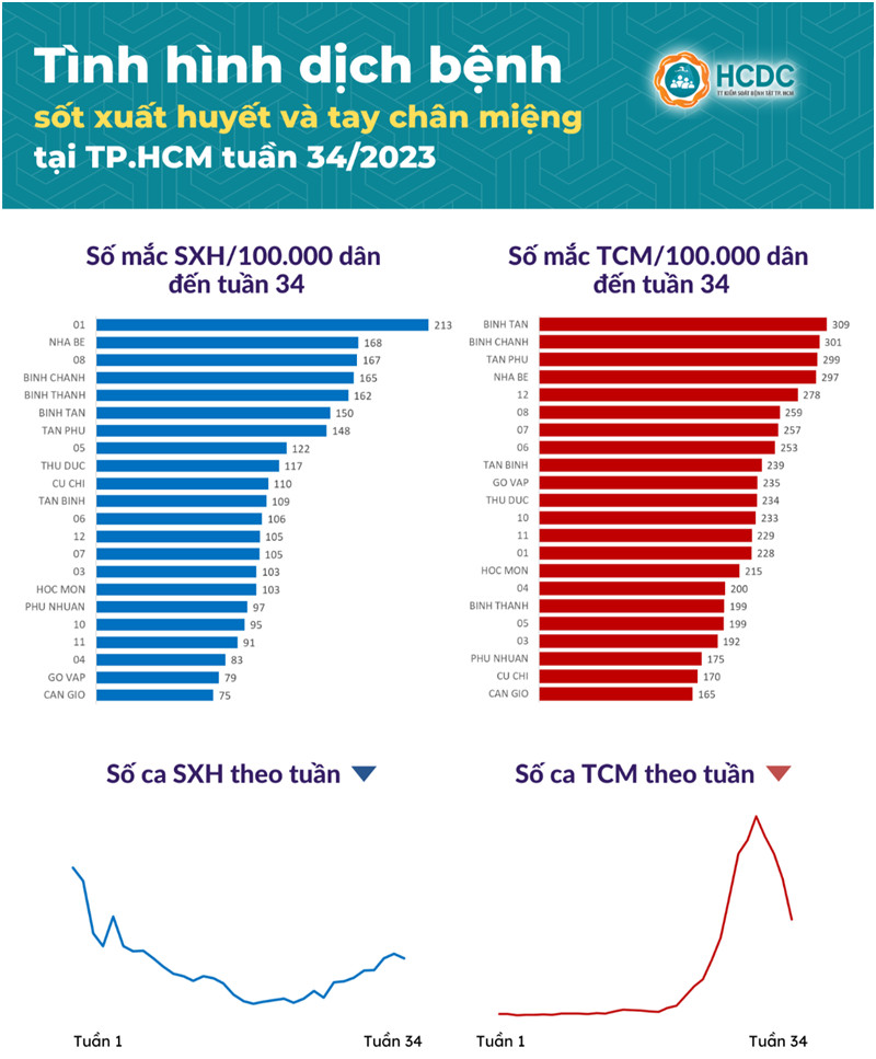 so ca mac sot xuat huyet tai tp hcm co dau hieu gia tang hinh 1