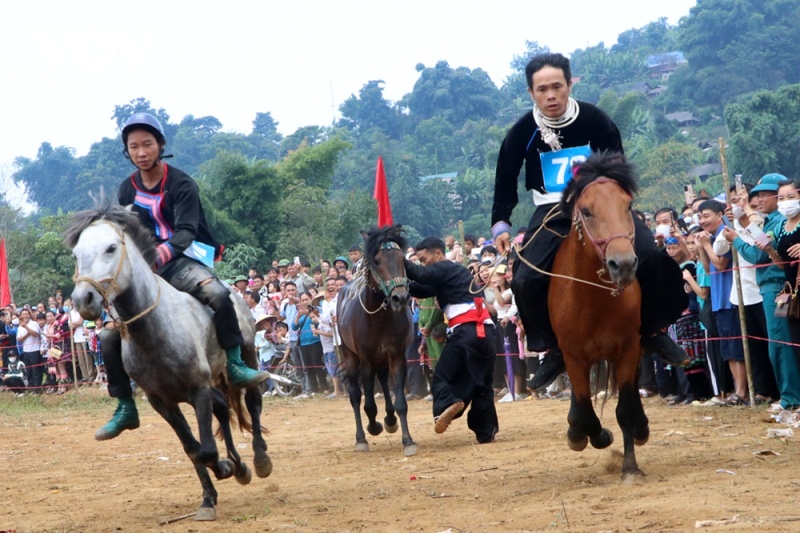 soi noi hap dan giai dua ngua tam duong 2023 hinh 1