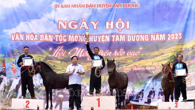 soi noi hap dan giai dua ngua tam duong 2023 hinh 3