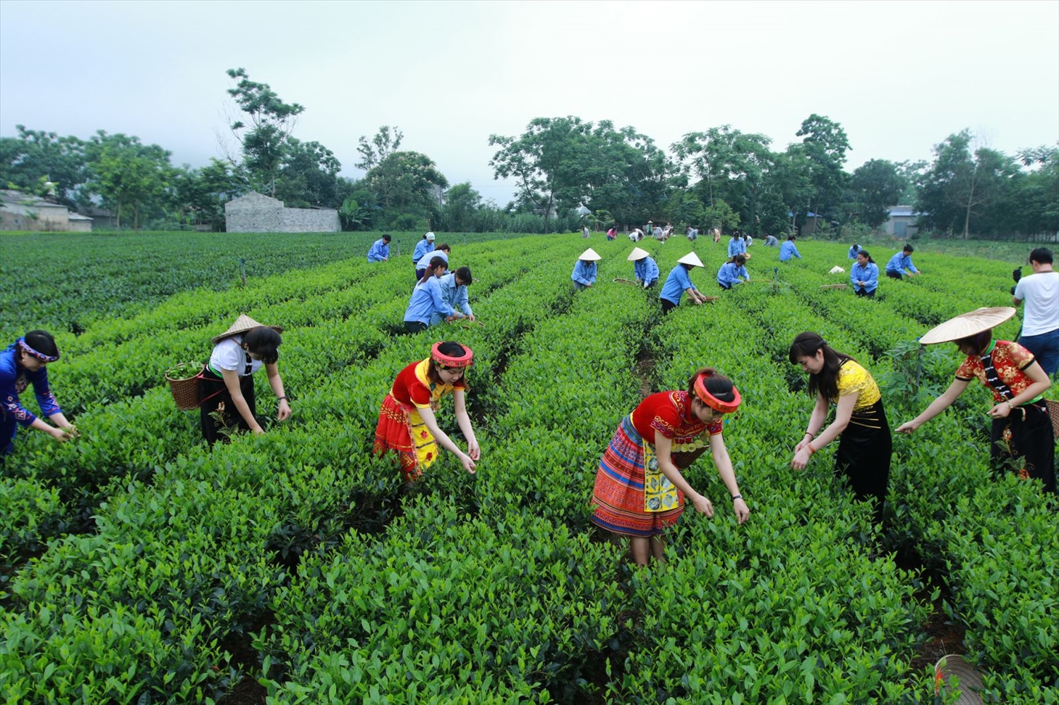 lien ket phat trien kinh te  xa hoi vung trung du va mien nui phia bac hinh 1