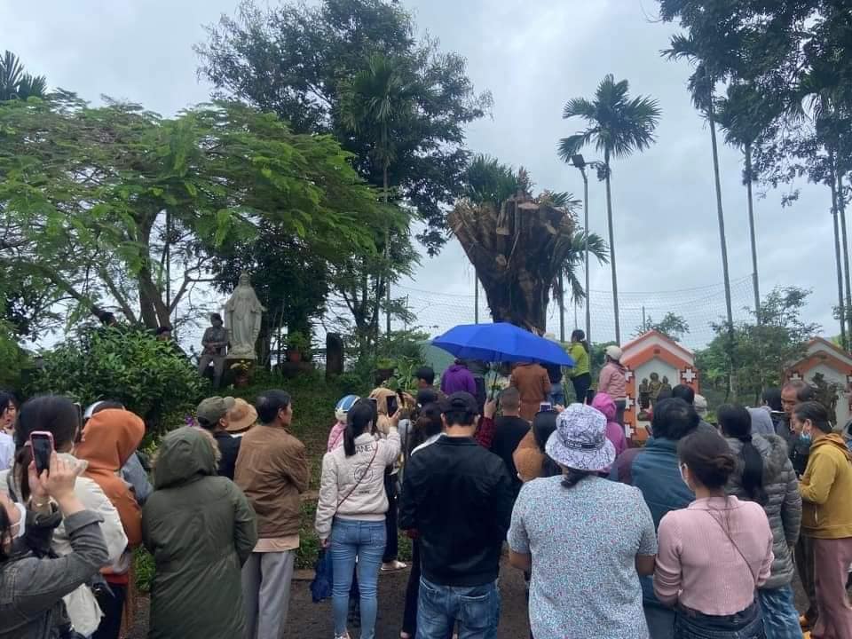 gia lai cay si co hinh mat nguoi o cho xa da duoc di doi ve nha tho hinh 2