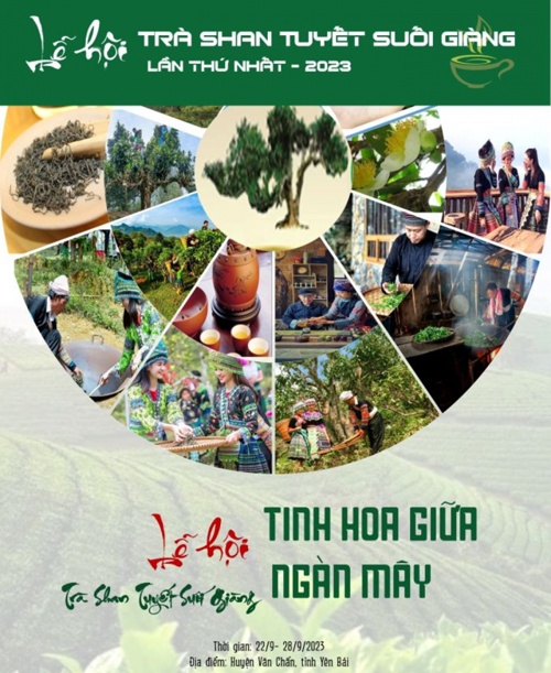 yen bai to chuc le hoi tra shan tuyet tinh hoa giua ngan may hinh 2