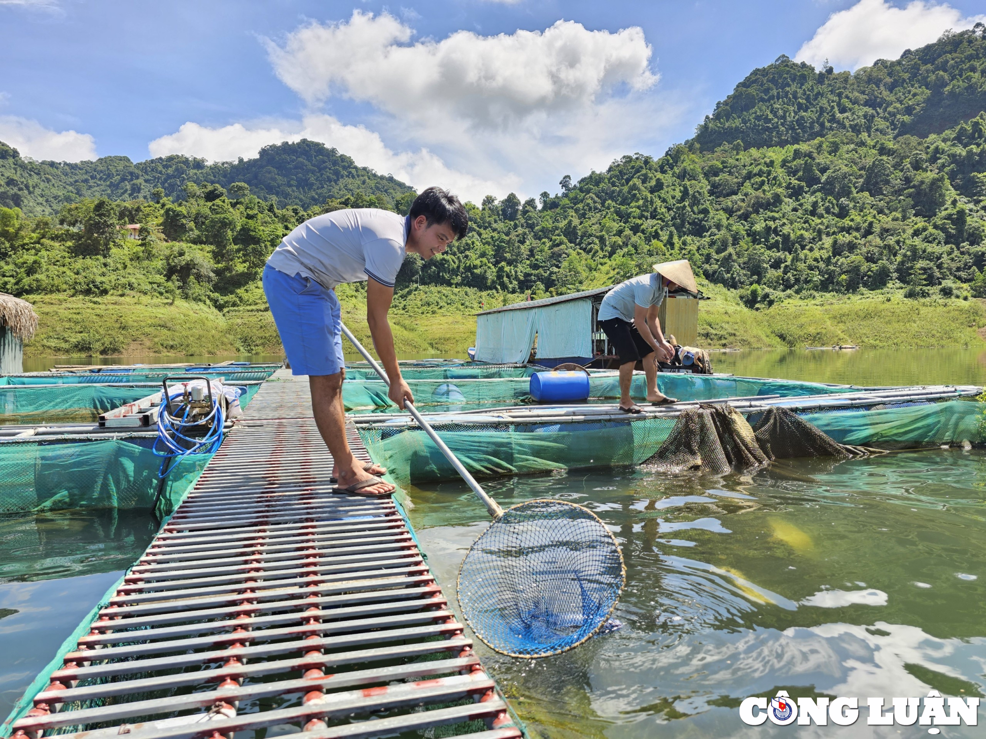 thu tien ty nho nuoi ca long tren long ho thuy dien hinh 2