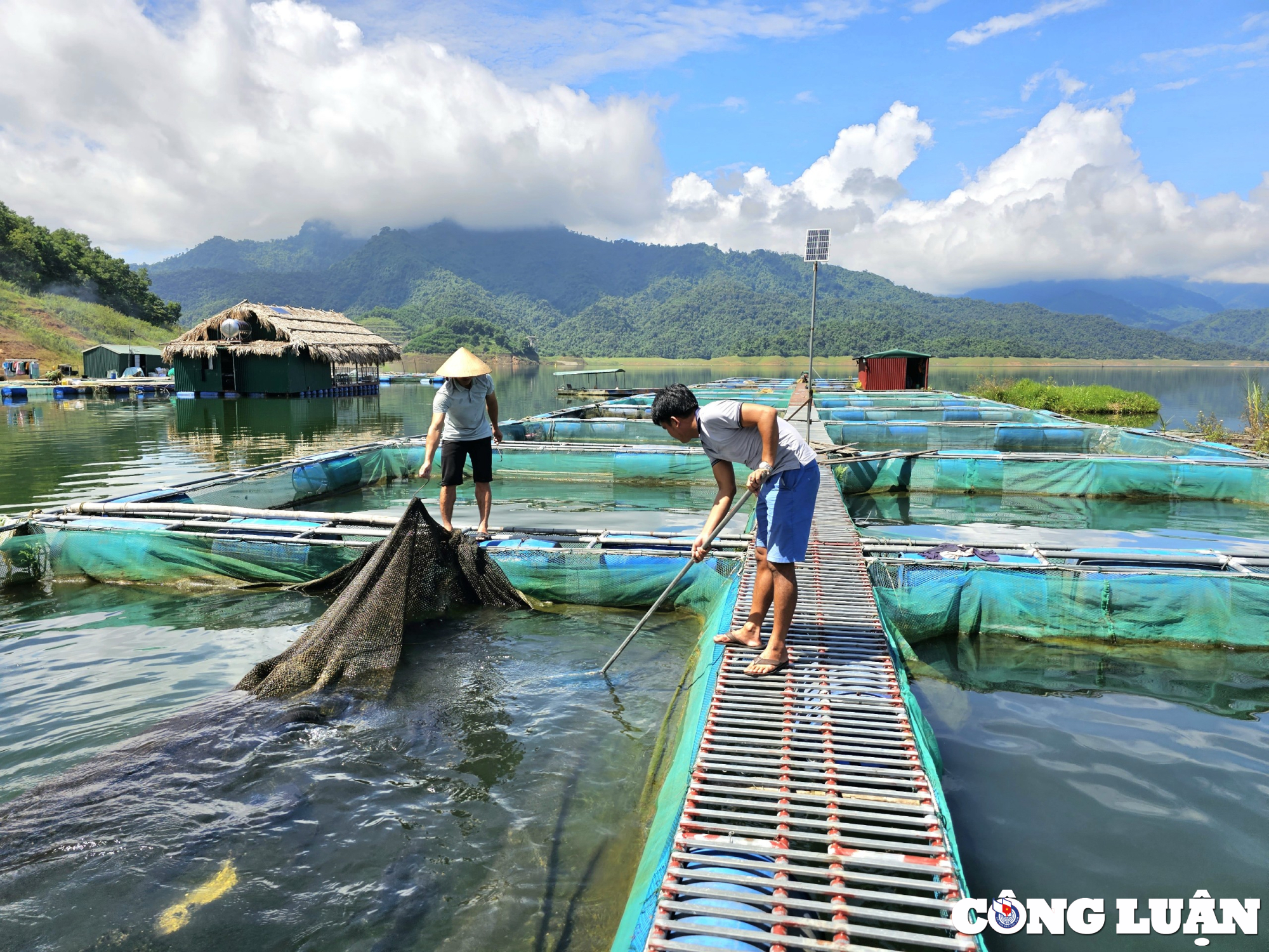 thu tien ty nho nuoi ca long tren long ho thuy dien hinh 6