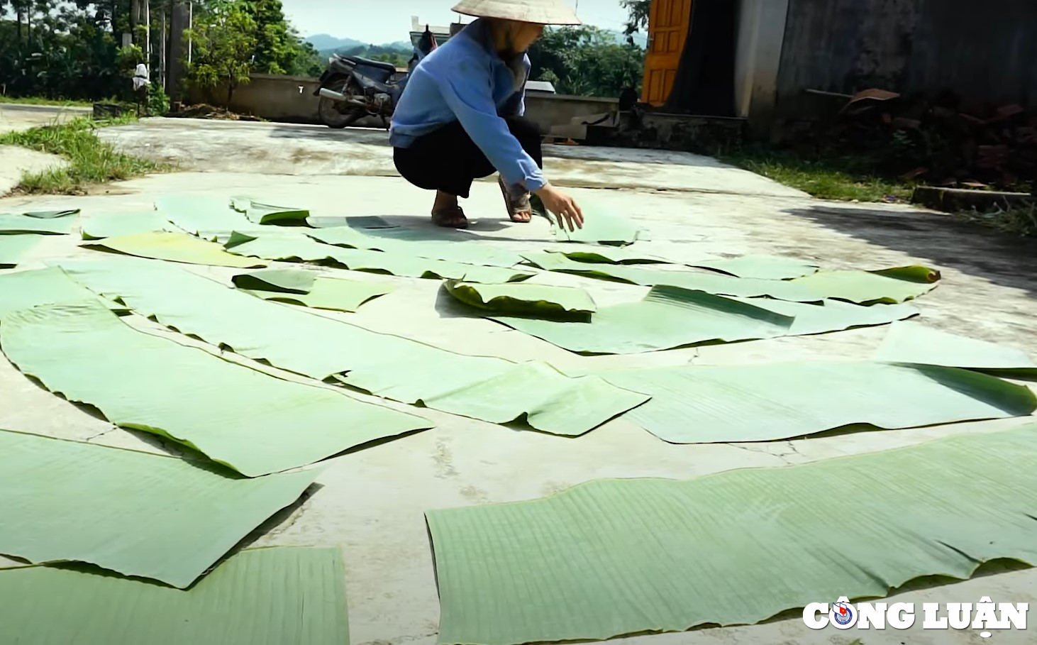 banh gai chiem hoa mon qua que nuc tieng o tuyen quang hinh 2