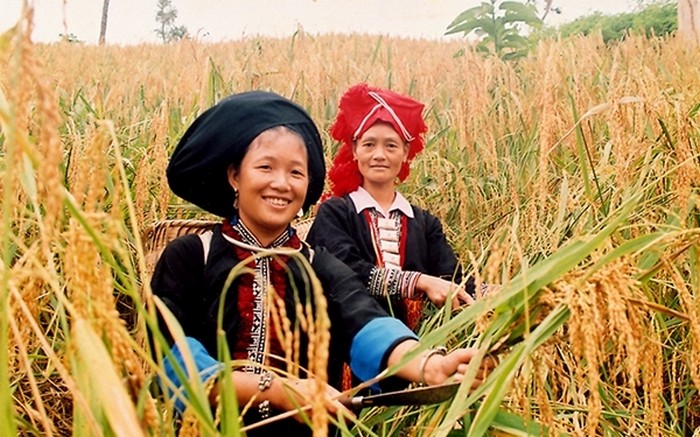 thiet lap duong day nong tiep nhan phan anh ve kho khan trong trien khai chuong trinh muc tieu quoc gia hinh 1