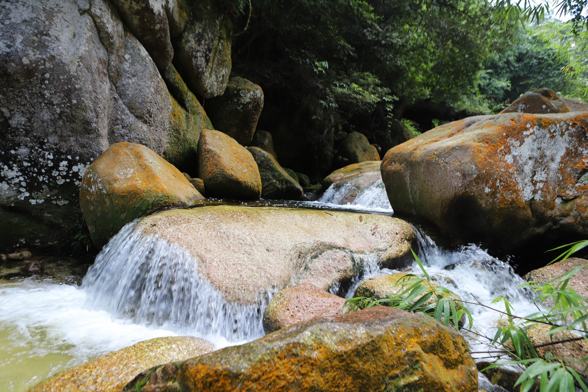 khao sat diem du lich thac ba tia tay yen tu hinh 1