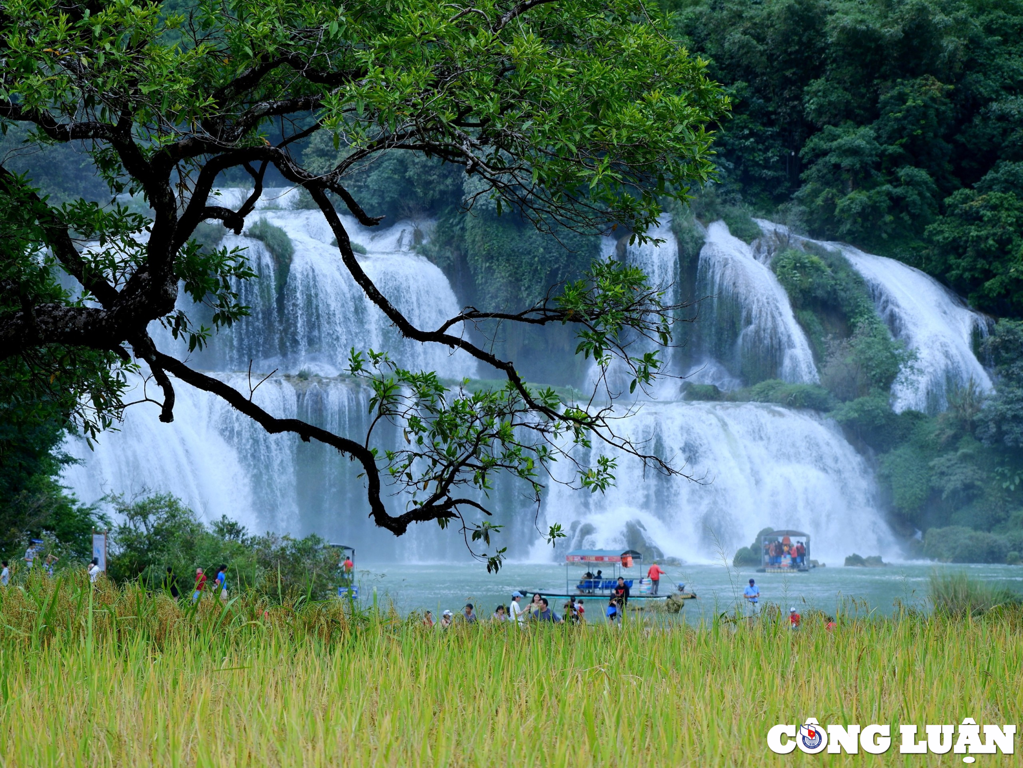 thac ban gioc tuyet pham tao tac tu thien nhien hinh 1