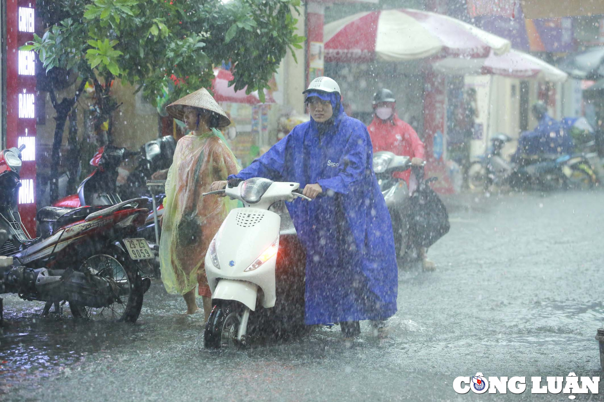 ha noi mua lon nhieu tuyen duong chim trong bien nuoc hinh 10