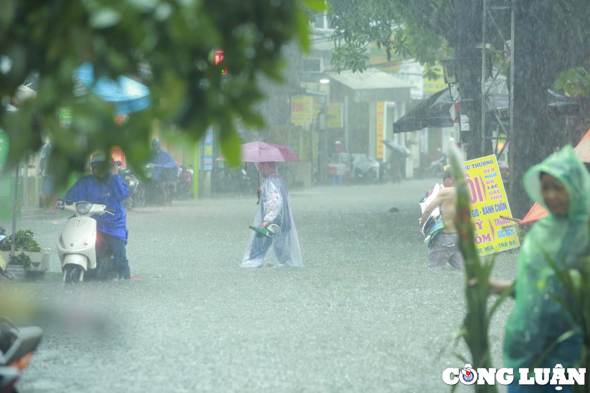 ha noi mua lon nhieu tuyen duong chim trong bien nuoc hinh 7