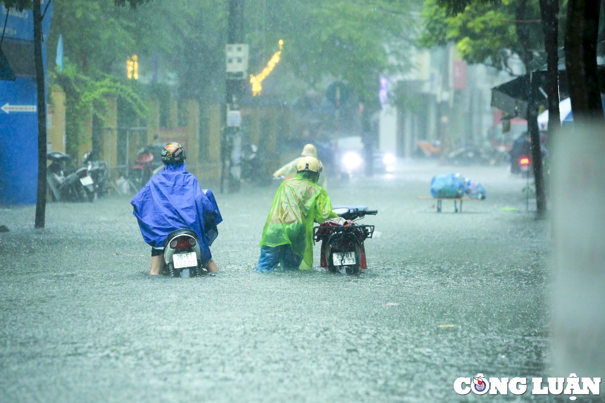 ha noi mua lon nhieu tuyen duong chim trong bien nuoc hinh 2