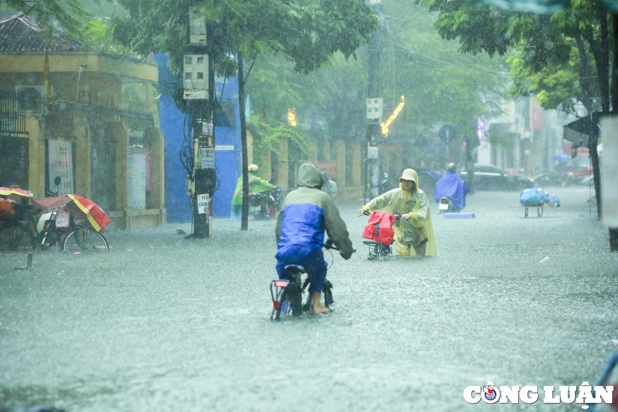 ha noi mua lon nhieu tuyen duong chim trong bien nuoc hinh 11