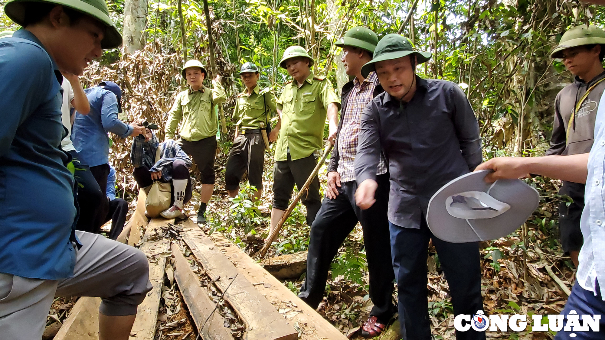 mau rung van chay o xu thanh xac dinh duoc 2 doi tuong pha rung hinh 3