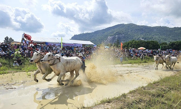 soi noi hoi dua bo bay nui hinh 1