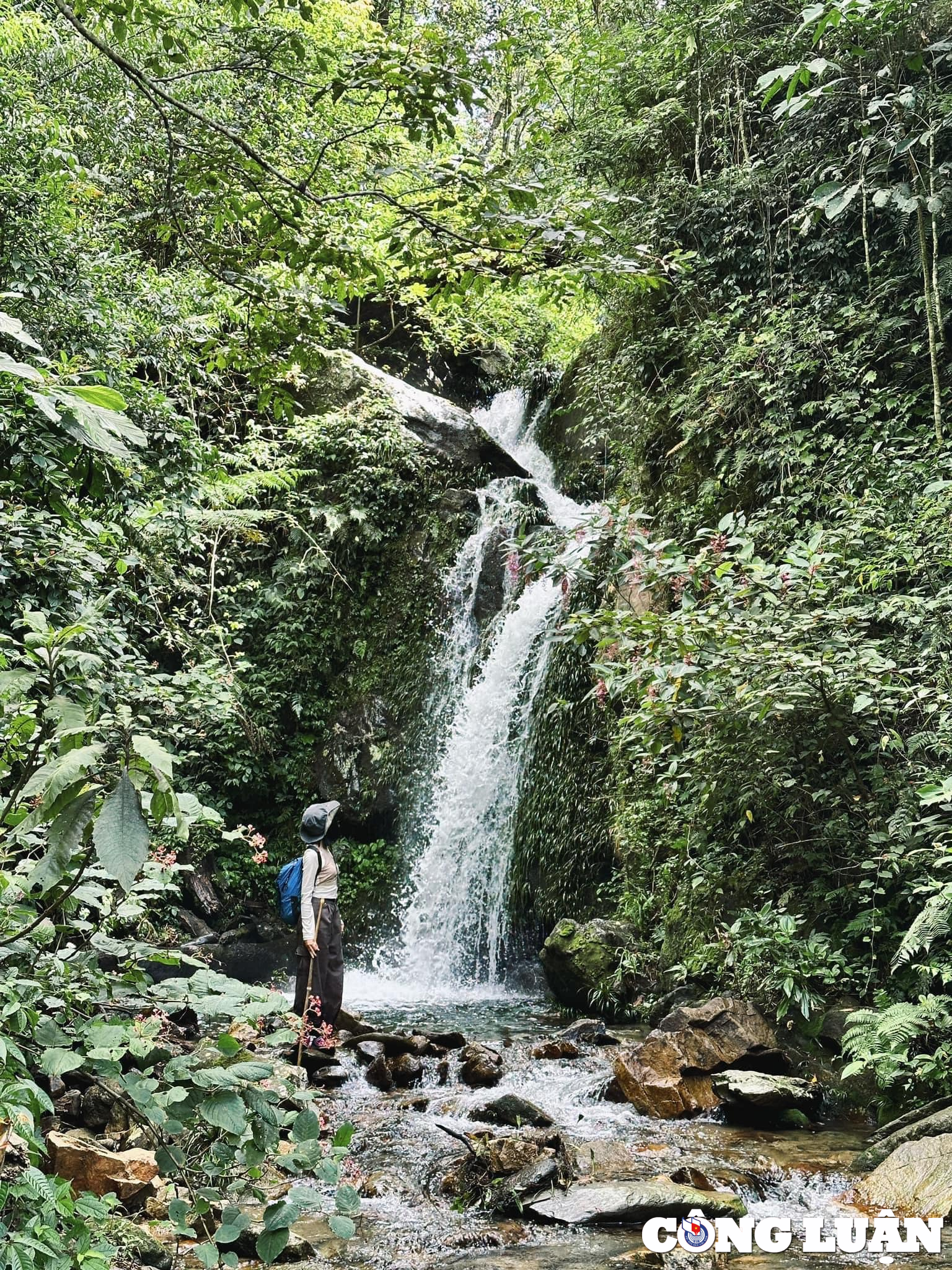 ngo ngang ve dep thung lung ta cua y yen bai hinh 1